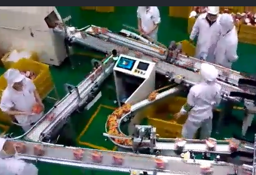 當(dāng)輸送帶出現(xiàn)跑偏后，怎么辦？